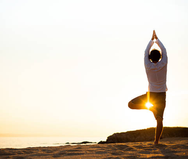 Rehabilitation support environment